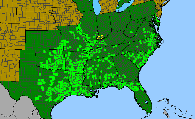 The range of Crataegus viridis